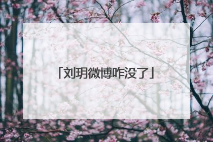 刘玥微博咋没了