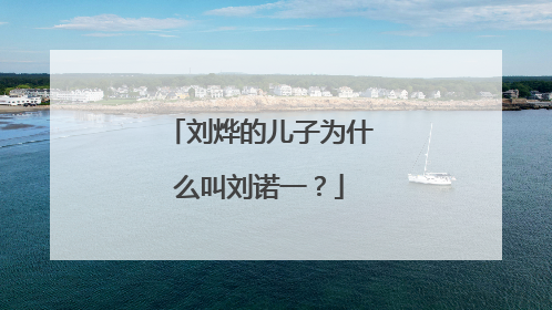 刘烨的儿子为什么叫刘诺一?