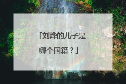 刘烨的儿子是哪个国籍？