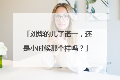 刘烨的儿子诺一,还是小时候那个样吗?