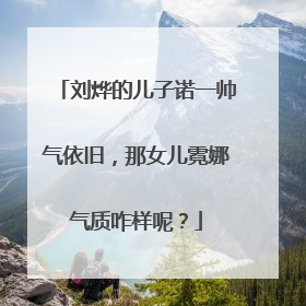 刘烨的儿子诺一帅气依旧，那女儿霓娜气质咋样呢？