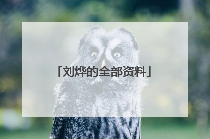 刘烨的全部资料