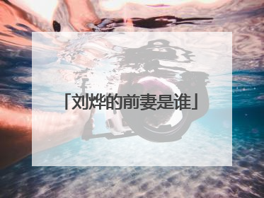 刘烨的前妻是谁