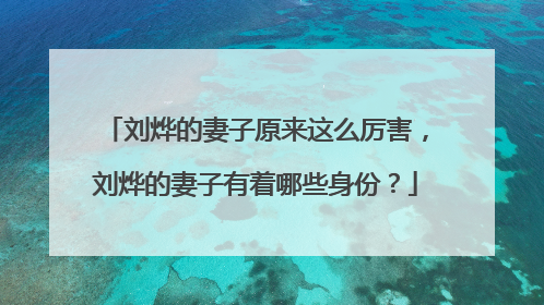 刘烨的妻子原来这么厉害,刘烨的妻子有着哪些身份?