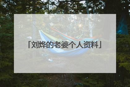 刘烨的老婆个人资料