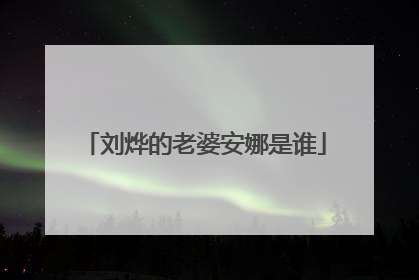 刘烨的老婆安娜是谁