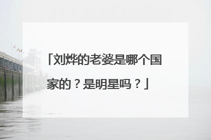 刘烨的老婆是哪个国家的?是明星吗?