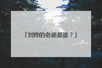 刘烨的老婆是谁?