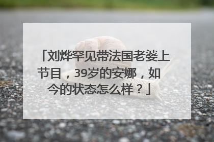刘烨罕见带法国老婆上节目，39岁的安娜，如今的状态怎么样？