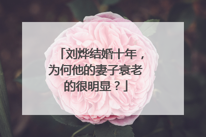 刘烨结婚十年，为何他的妻子衰老的很明显？