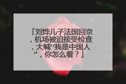 刘烨儿子法国回京,机场被迫接受检查,大喊“我是中国人”,你怎么看?