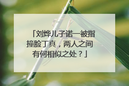 刘烨儿子诺一被指撞脸丁真,两人之间有何相似之处?