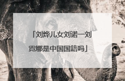 刘烨儿女刘诺一刘霓娜是中国国籍吗