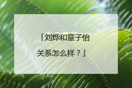 刘烨和章子怡关系怎么样?