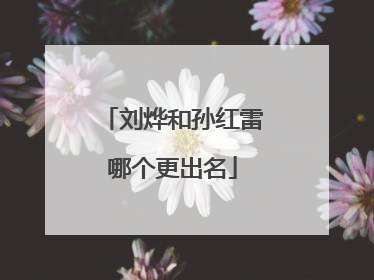 刘烨和孙红雷哪个更出名