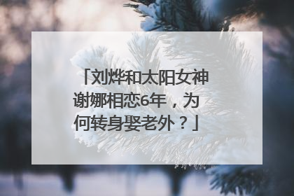 刘烨和太阳女神谢娜相恋6年，为何转身娶老外？