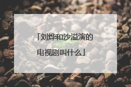刘烨和沙溢演的电视剧叫什么