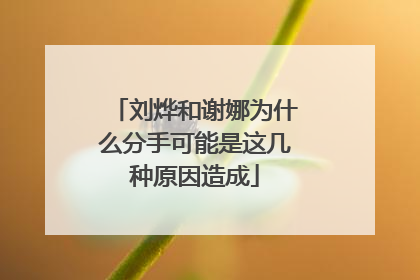 刘烨和谢娜为什么分手可能是这几种原因造成