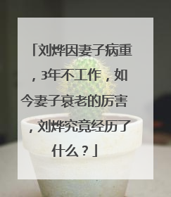 刘烨因妻子病重,3年不工作,如今妻子衰老的厉害,刘烨究竟经历了什么?