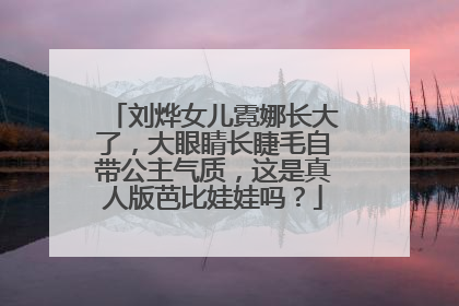 刘烨女儿霓娜长大了，大眼睛长睫毛自带公主气质，这是真人版芭比娃娃吗？