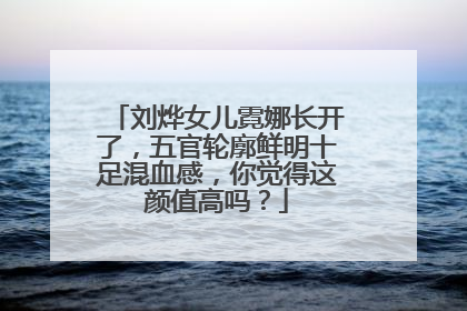 刘烨女儿霓娜长开了,五官轮廓鲜明十足混血感,你觉得这颜值高吗?