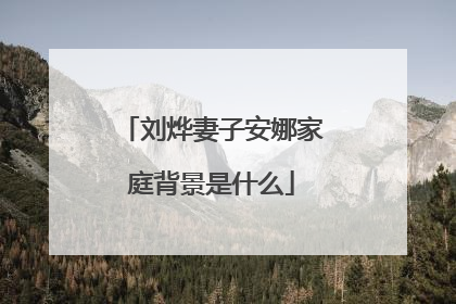 刘烨妻子安娜家庭背景是什么
