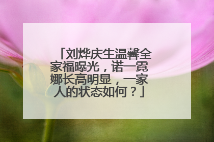 刘烨庆生温馨全家福曝光,诺一霓娜长高明显,一家人的状态如何?