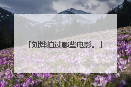 刘烨拍过哪些电影。