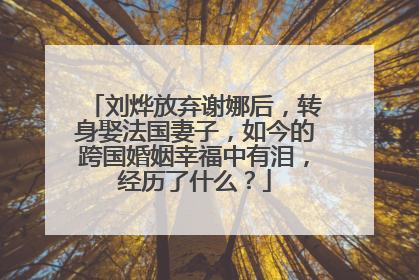 刘烨放弃谢娜后,转身娶法国妻子,如今的跨国婚姻幸福中有泪,经历了什么?
