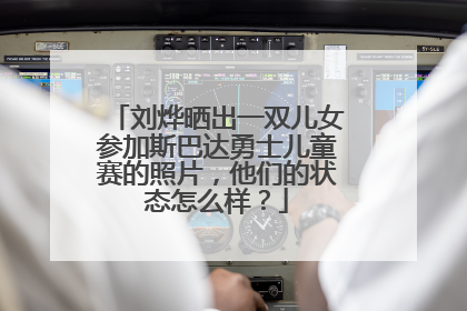 刘烨晒出一双儿女参加斯巴达勇士儿童赛的照片，他们的状态怎么样？