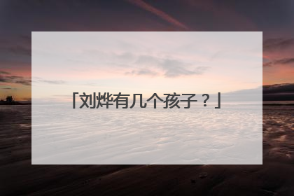 刘烨有几个孩子？