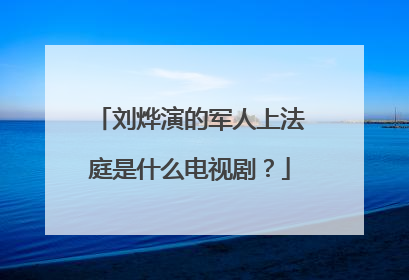 刘烨演的军人上法庭是什么电视剧？