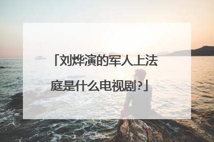 刘烨演的军人上法庭是什么电视剧?