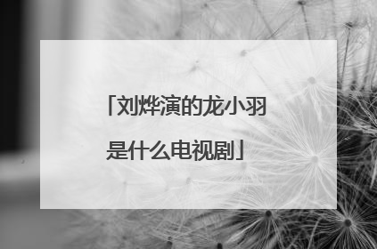 刘烨演的龙小羽是什么电视剧