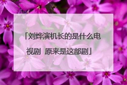 刘烨演机长的是什么电视剧 原来是这部剧