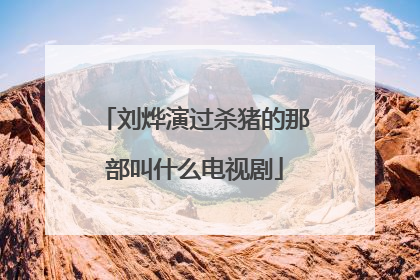 刘烨演过杀猪的那部叫什么电视剧