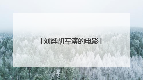 刘烨胡军演的电影