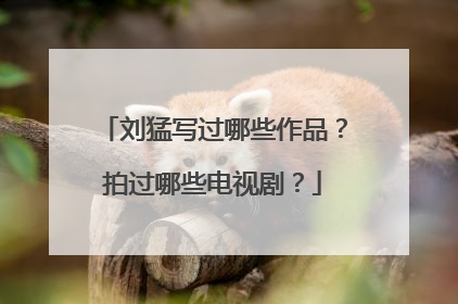 刘猛写过哪些作品?拍过哪些电视剧?