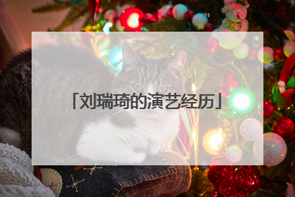 刘瑞琦的演艺经历