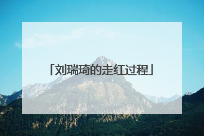 刘瑞琦的走红过程