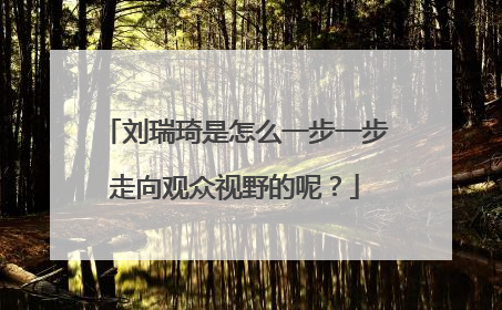 刘瑞琦是怎么一步一步走向观众视野的呢？