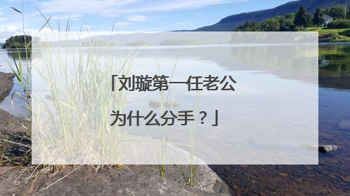 刘璇第一任老公为什么分手？