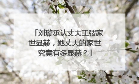 刘璇承认丈夫王弢家世显赫，她丈夫的家世究竟有多显赫？