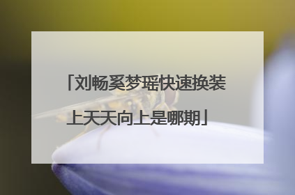 刘畅奚梦瑶快速换装上天天向上是哪期