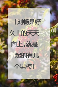 刘畅是好久上的天天向上,就是一起的有几个男模