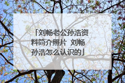 刘畅老公孙浩资料简介照片 刘畅孙浩怎么认识的