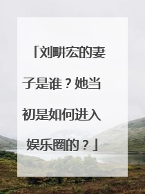 刘畊宏的妻子是谁？她当初是如何进入娱乐圈的？