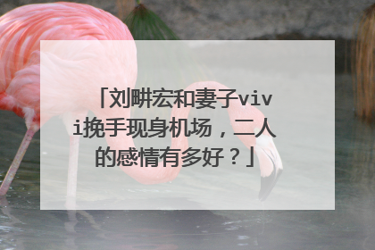 刘畊宏和妻子vivi挽手现身机场，二人的感情有多好？