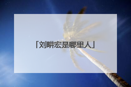 刘畊宏是哪里人