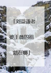 刘益谦老婆王薇的祖籍在哪